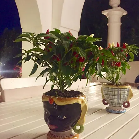 Prázdninový dům Croce