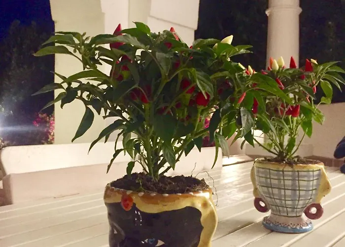 Prázdninový dům Croce